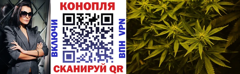 Как найти наркотики Рассказово Амфетамин  Alpha-PVP  мега маркетплейс  Гашиш  Мефедрон 