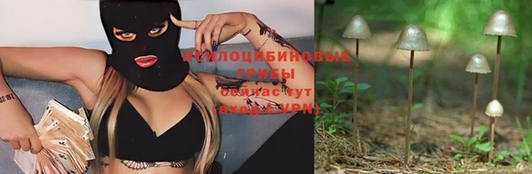 дурь Аркадак