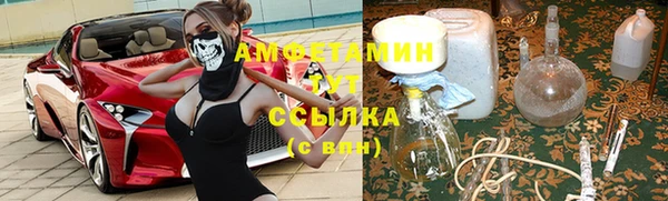 дурь Аркадак