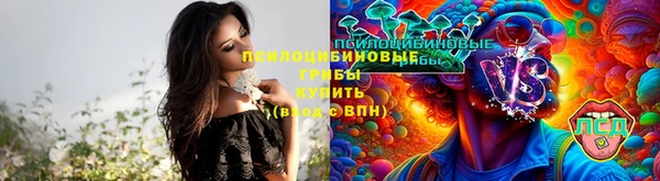 дурь Аркадак