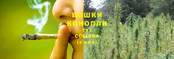 дурь Аркадак