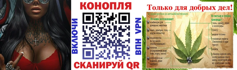 Каннабис план  где продают наркотики  Рассказово 